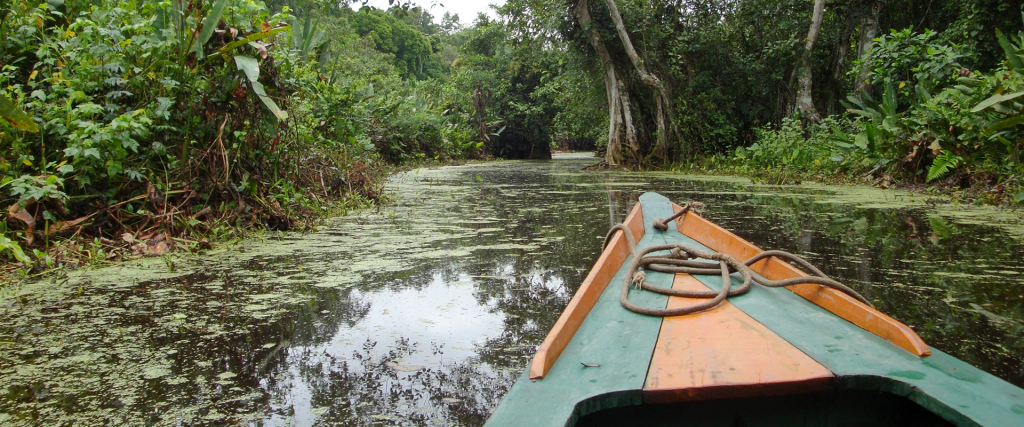 Tambopata 3D / 2N – Anacondor Tours